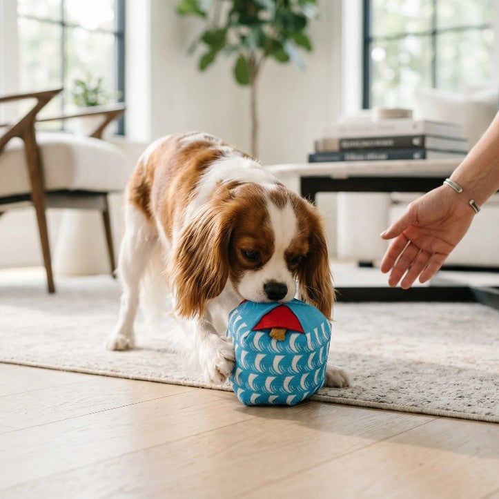 Pet Toys