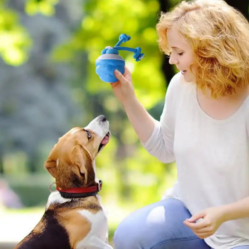 Moving Ball For Dogs Touch Motion Activated Rolling Toy USB Rechargeable Squeaky Rolling Balls Smart Interactive Toy For