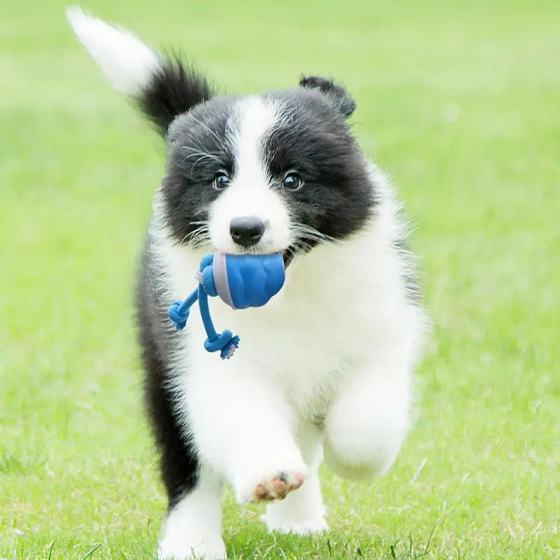 Moving Ball For Dogs Touch Motion Activated Rolling Toy USB Rechargeable Squeaky Rolling Balls Smart Interactive Toy For