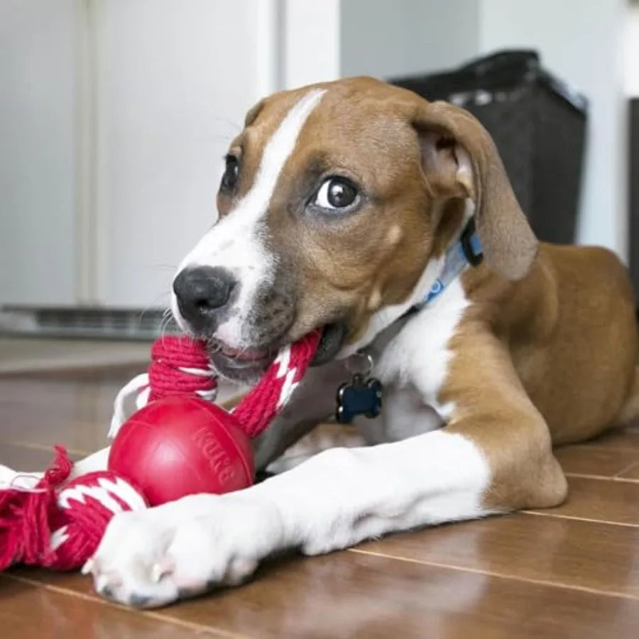 Ball with Rope, Natural Rubber Fetch and Tug Toy, Red, for Small Dogs Natural Rubber Ball Attached to a Rope for Easy Throwing,