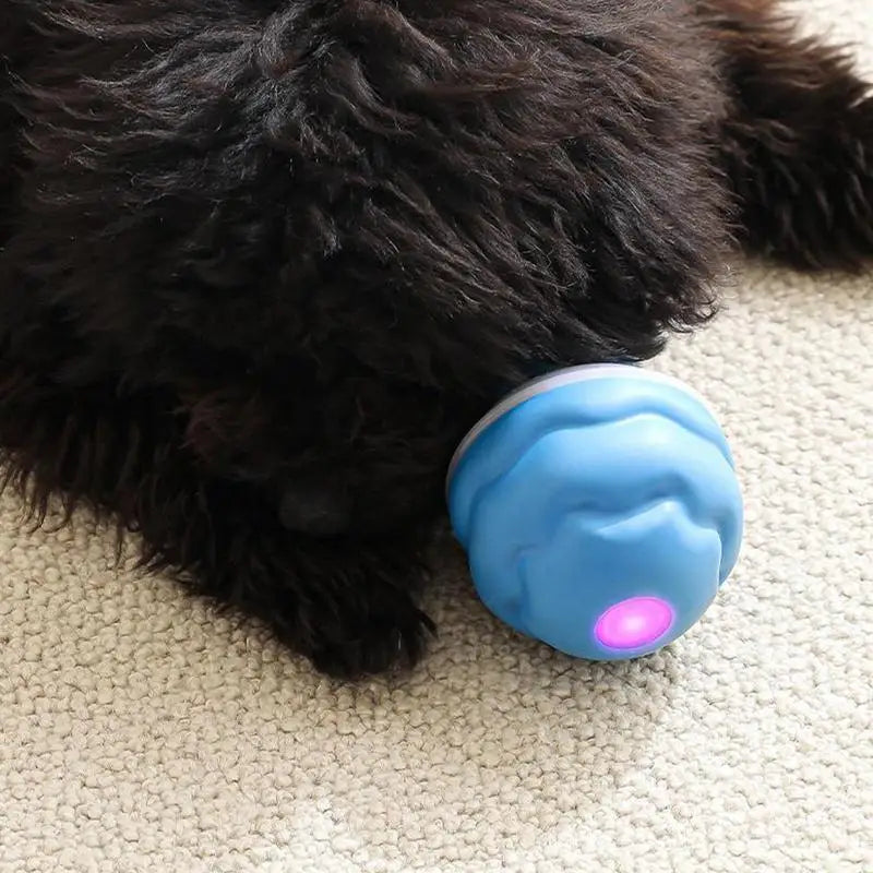 Moving Ball For Dogs Touch Motion Activated Rolling Toy USB Rechargeable Squeaky Rolling Balls Smart Interactive Toy For